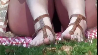 ఉచిత వీడియో