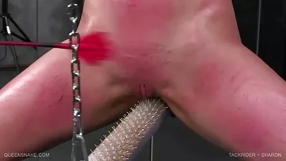 జంటల షరోన్ శృంగార ఫోటోలు