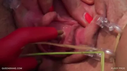 ఉత్పత్తి పిల్లి - క్విన్.కామ్ సెక్స్ ఉచిత చిత్రాలు