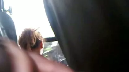 కేవలం పిల్లి ములాట్టో