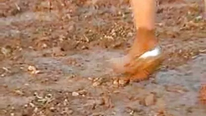 మధ్య వయస్కుడు, వెంట్రుకల, పుస్సీ