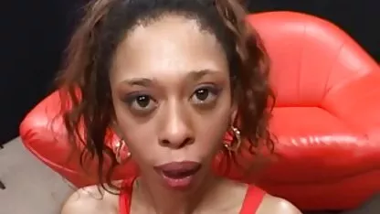 వీడియో గురించి