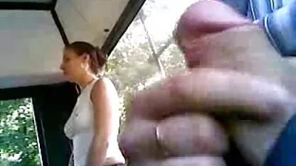 ఫ్లాష్ కొత్త 46 బ్రెజిలియన్ పిల్లి